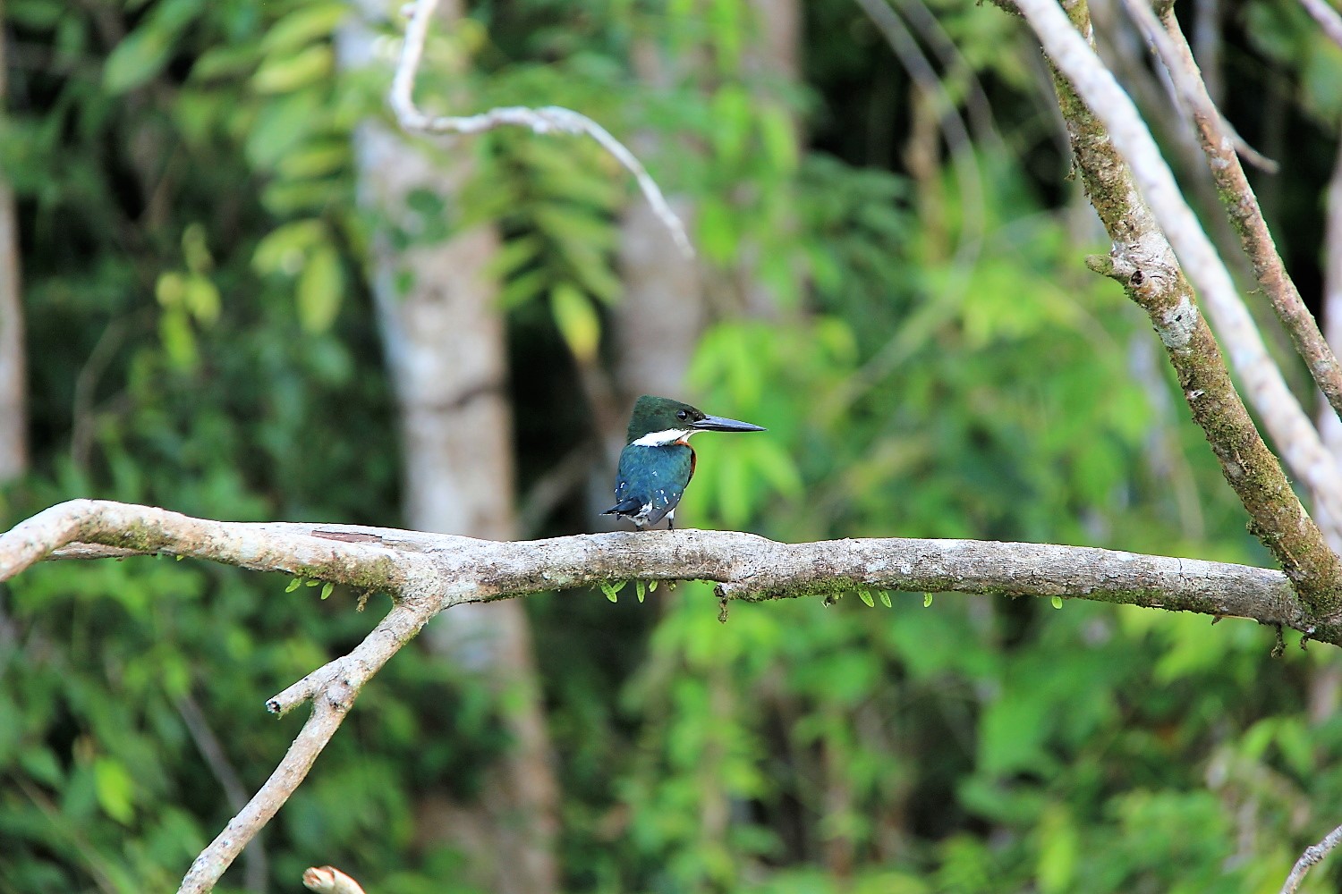 Costa Rica